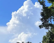 从江天气预报,从江7天天气预报,从江15天天气预报,从江天气查询